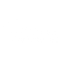 maitenes